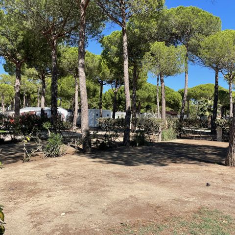 Camping Calypso Camping Calypso - Camping Pyrénées-Orientales - Image N°6