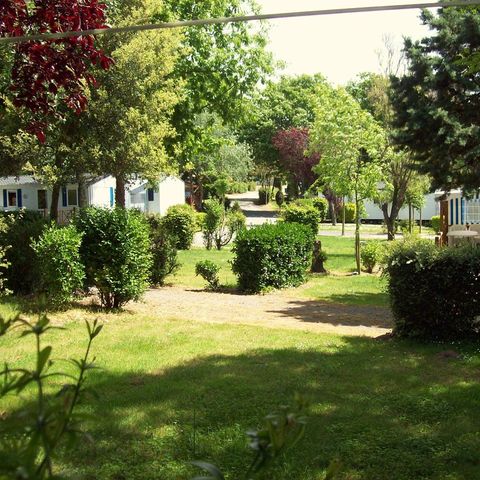 Camping Le Roc  Camping Le Roc  - Camping Vendée - Image N°3