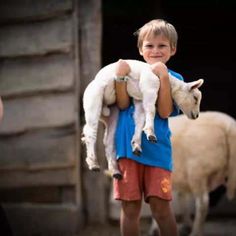 Camping Ferme Pedagogique de Prunay Camping Ferme Pedagogique de Prunay - Camping Loir-et-Cher - Image N°5