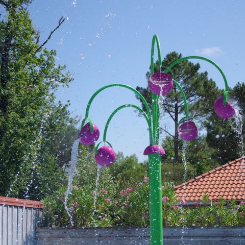 Camping Paradis Le Tastesoule Camping Paradis Le Tastesoule - Camping Gironde - Image N°5