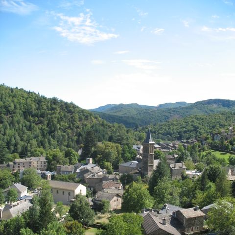 Camping La Molière  - Camping Lozere - Image N°3