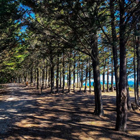 Camping le Matin Calme - Camping Drome - Image N°2