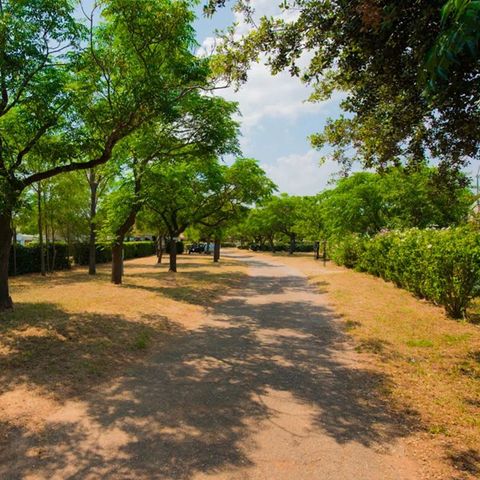 Camping Mas des Roses - Camping Hérault - Image N°4