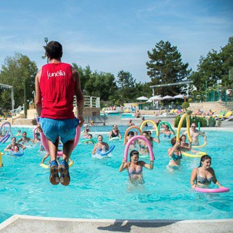 Camping Hippocampe - Camping Alpes-de-Haute-Provence - Image N°6