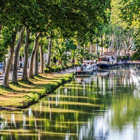 Camping La Plage de l'Orb - Camping Hérault - Image N°6