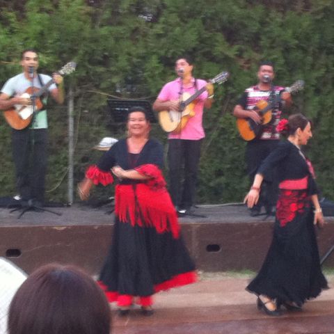 Camping Intercommunal de la Durance - Camping Vaucluse - Image N°5