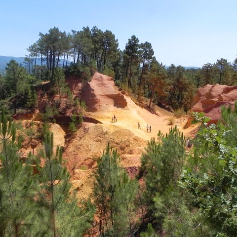 Camping Intercommunal de la Durance - Camping Vaucluse - Image N°2