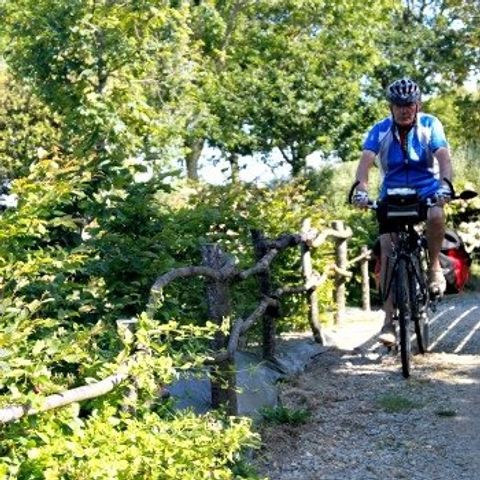 Camping La Ferme de Lann Hoëdic - Camping Morbihan - Image N°5