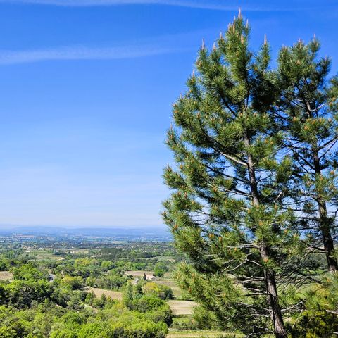 Camping les Terrasses Provençales - Camping Drome - Image N°4