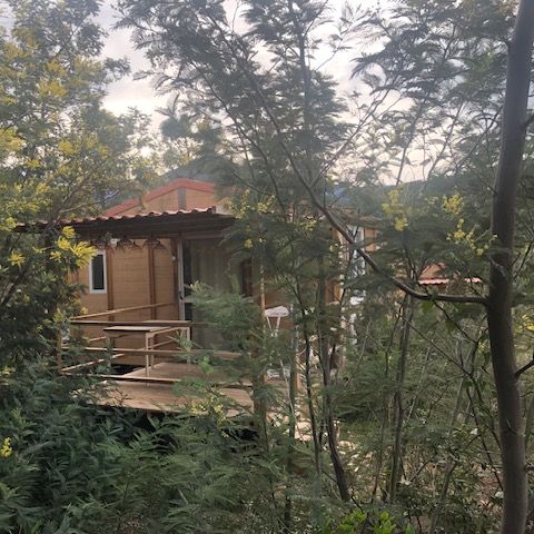 Camping Casa Di Luna Camping Casa Di Luna - Camping Corse du Nord - Image N°2