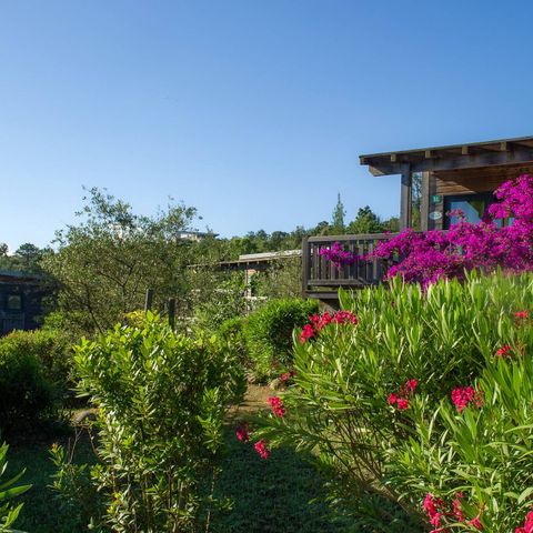 Camping Sole di Sari - Camping Corse du Sud - Image N°6