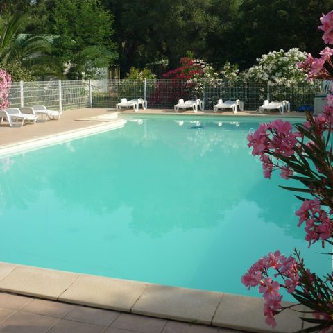 Camping Pezza Cardo - Camping Corse du Sud - Image N°2