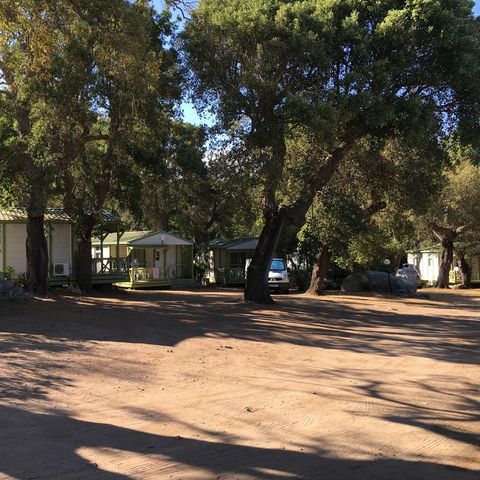 Camping Pezza Cardo - Camping Corse du Sud - Image N°6