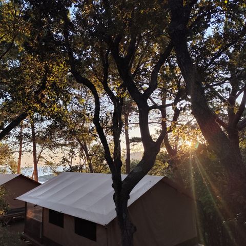 Camping l'Esplanade Camping l'Esplanade - Camping Corse du Sud - Image N°4