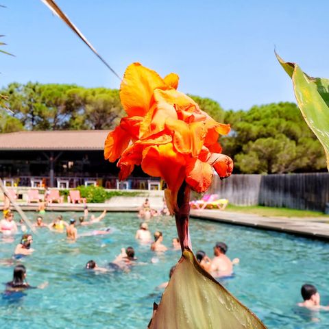 Camping Ras L'Bol - Camping Corse du Sud - Image N°2