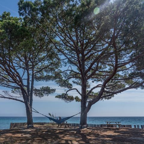 Camping Merendella Camping Merendella - Camping Corse du Nord - Image N°2