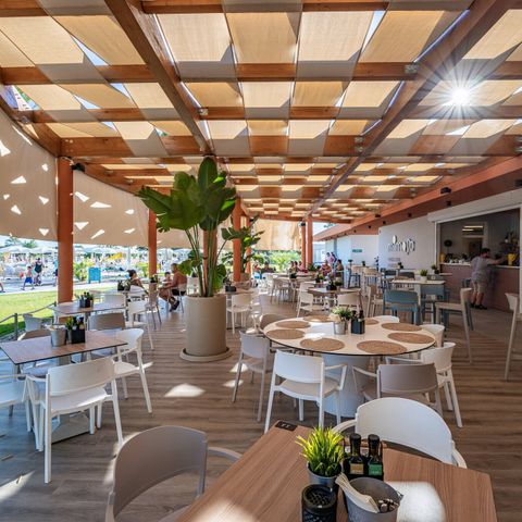 Camping Zaton Holiday Resort  - Camping Zadar - Image N°6