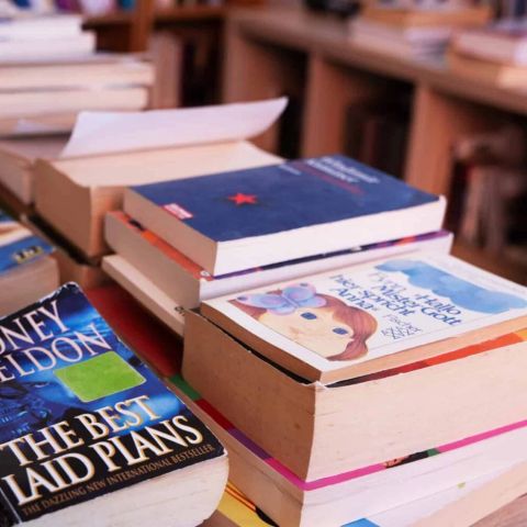 Camping Le Haras - Camping Pyrénées-Orientales - Image N°6