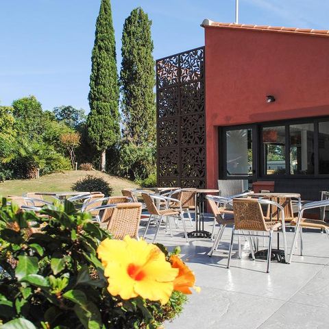 Camping Le Haras - Camping Pyrénées-Orientales - Image N°3