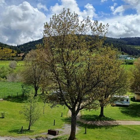 Camping La Cigale de l'Allier - Camping Lozere - Image N°6