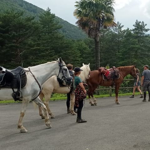 Camping La Cremade - Camping Aude - Image N°6