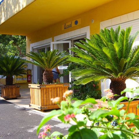 Camping International Camping International - Camping Var - Image N°3