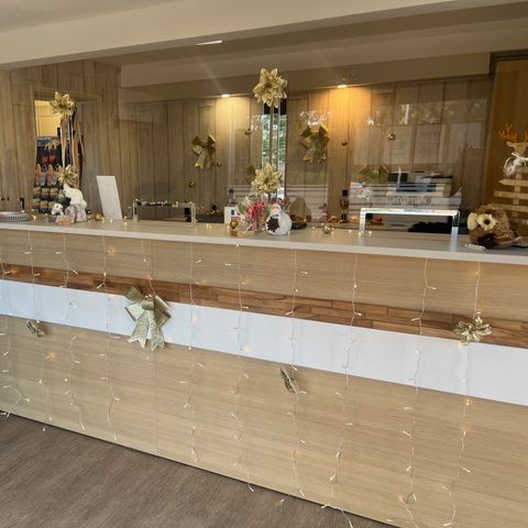 Camping Parc des Fontanettes - Camping Var - Image N°2