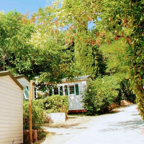 Camping Parc des Fontanettes Camping Parc des Fontanettes - Camping Var - Image N°6