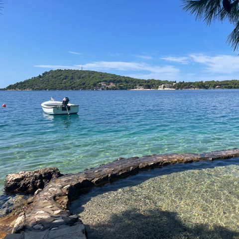 Camping Parc des Fontanettes - Camping Var - Image N°3