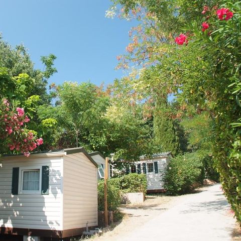 Camping Parc des Fontanettes Camping Parc des Fontanettes - Camping Var - Image N°5