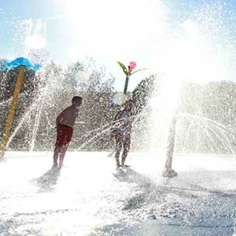 Camping Les Mimosas - Camping Var - Image N°4