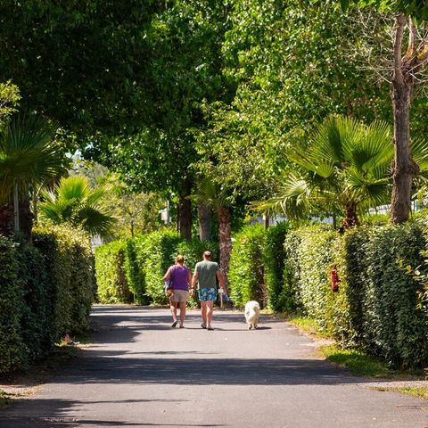 Flower Camping Le Rochelongue - Camping Hérault - Image N°3