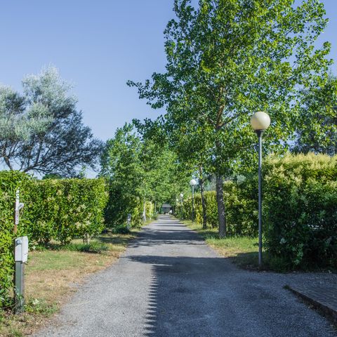 Camping de Montolieu - Camping Aude - Image N°6