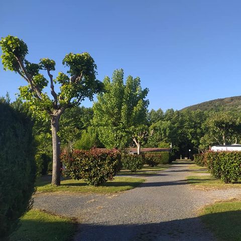 Camping d'Ibarron - Camping Pyrénées-Atlantiques - Image N°6