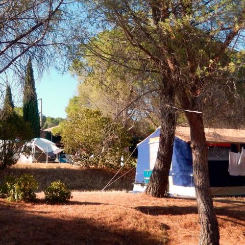 Camping Les Terrasses Camping Les Terrasses - Camping Hérault - Image N°5