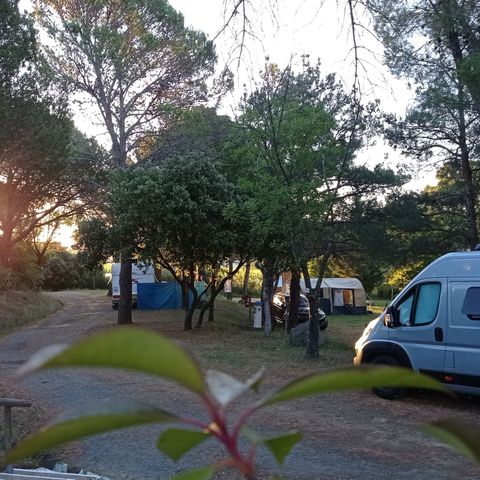Camping Les Terrasses Camping Les Terrasses - Camping Hérault - Image N°6