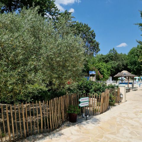 Camping Le Parc - Camping Hérault - Image N°5