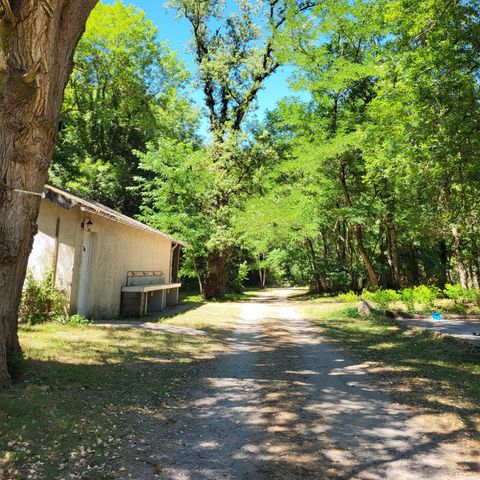 Camping Le Bois Flottant - Camping Tarn