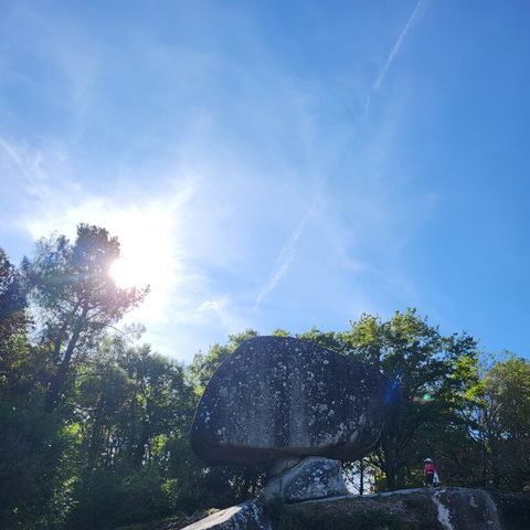 Camping Le Bois Flottant - Camping Tarn - Image N°5