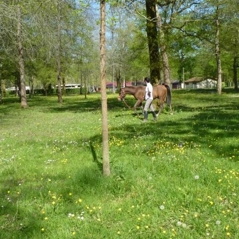 Camping Le Bascat Camping Le Bascat - Camping Landes - Image N°3
