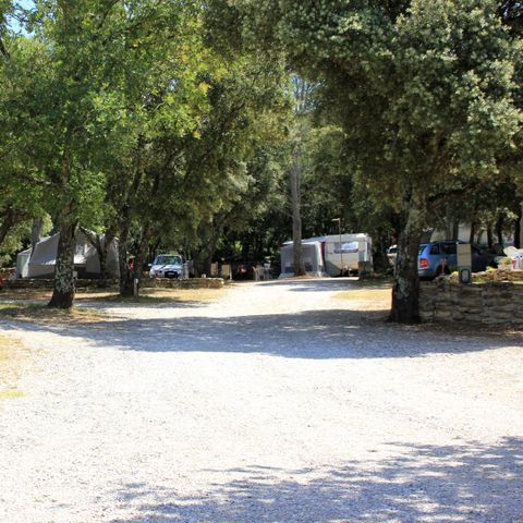 Camping Les chênes Camping Les chênes - Camping Gard - Image N°4