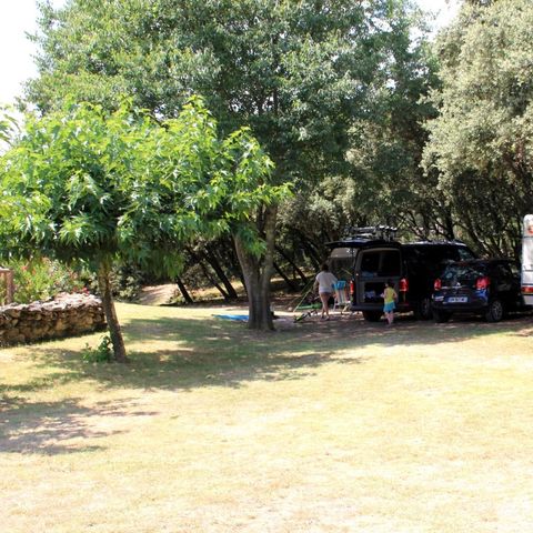 Camping Les chênes Camping Les chênes - Camping Gard - Image N°5