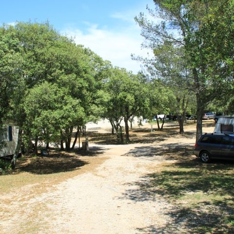 Camping Les chênes - Camping Gard - Image N°5