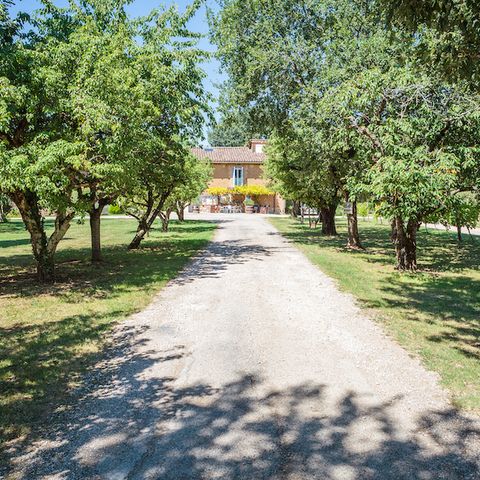 Les Chalets De Fiolles - Camping Tarn - Image N°3