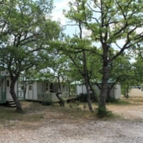 Flower Camping l'Epi Bleu - Camping Alpes-de-Haute-Provence - Image N°2