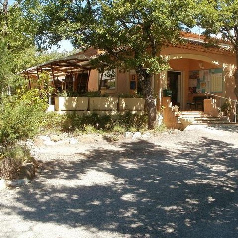 Flower Camping l'Epi Bleu - Camping Alpes-de-Haute-Provence - Image N°3