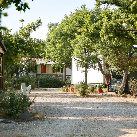 Flower Camping l'Epi Bleu - Camping Alpes-de-Haute-Provence - Image N°6