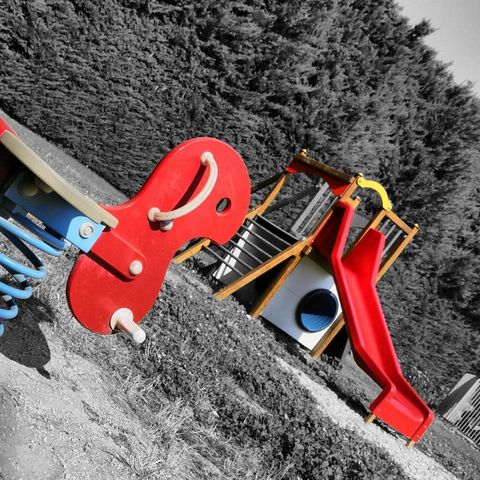 Camping Des Favards - Camping Vaucluse - Image N°4