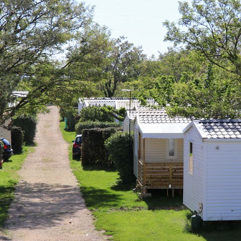 Camping Carrefour De L'Ardèche - Camping Ardèche - Image N°6