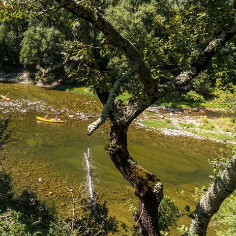 Camping La Nouzarède - Camping Ardèche - Image N°6